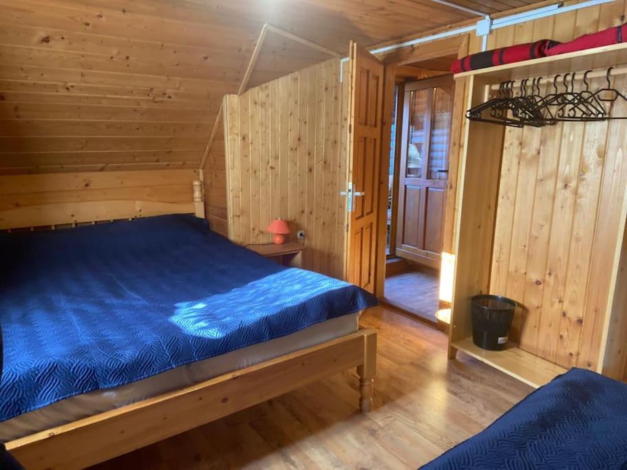 Cabana Cerbul De Aur Sub Cetate Zewnętrze zdjęcie