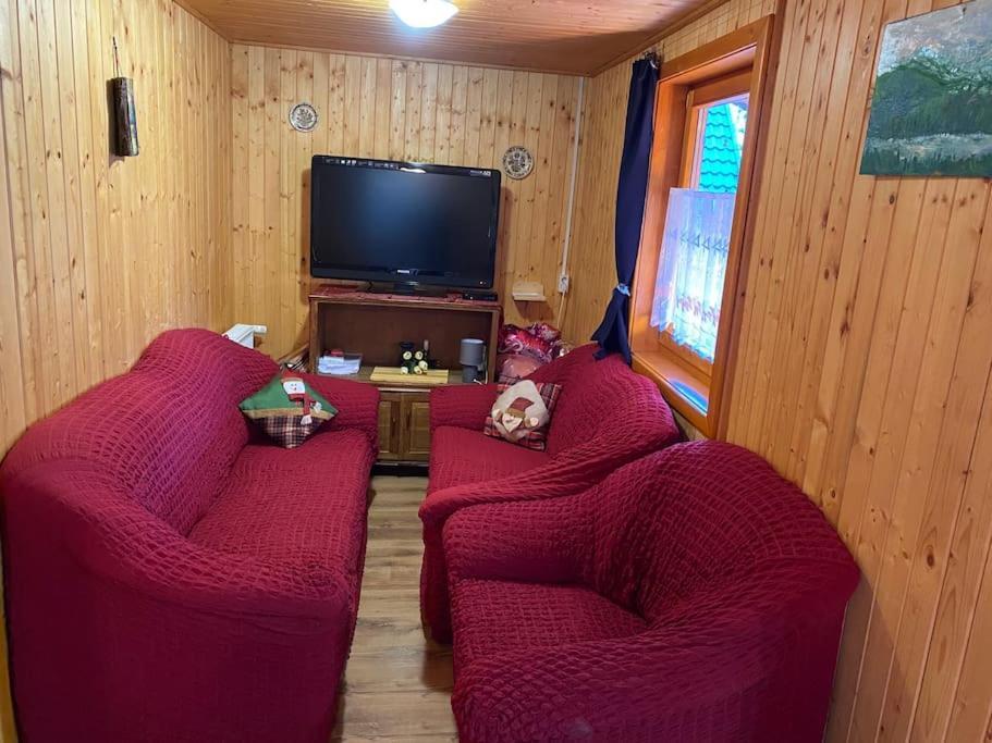 Cabana Cerbul De Aur Sub Cetate Zewnętrze zdjęcie